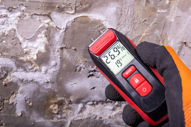 Best Local Mold Removal Service  in Wolf Creek, UT