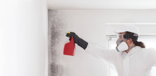 Water Damage Restoration in Wolf Creek, UT