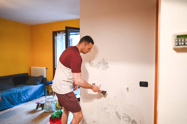 Best Fast Mold Removal  in Wolf Creek, UT